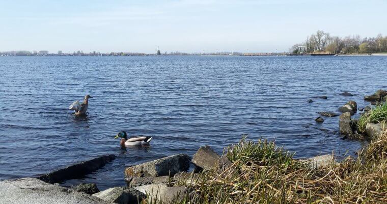 balancing life, life struggles, adult life