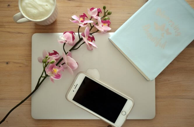 niche, finding, committing, deciding