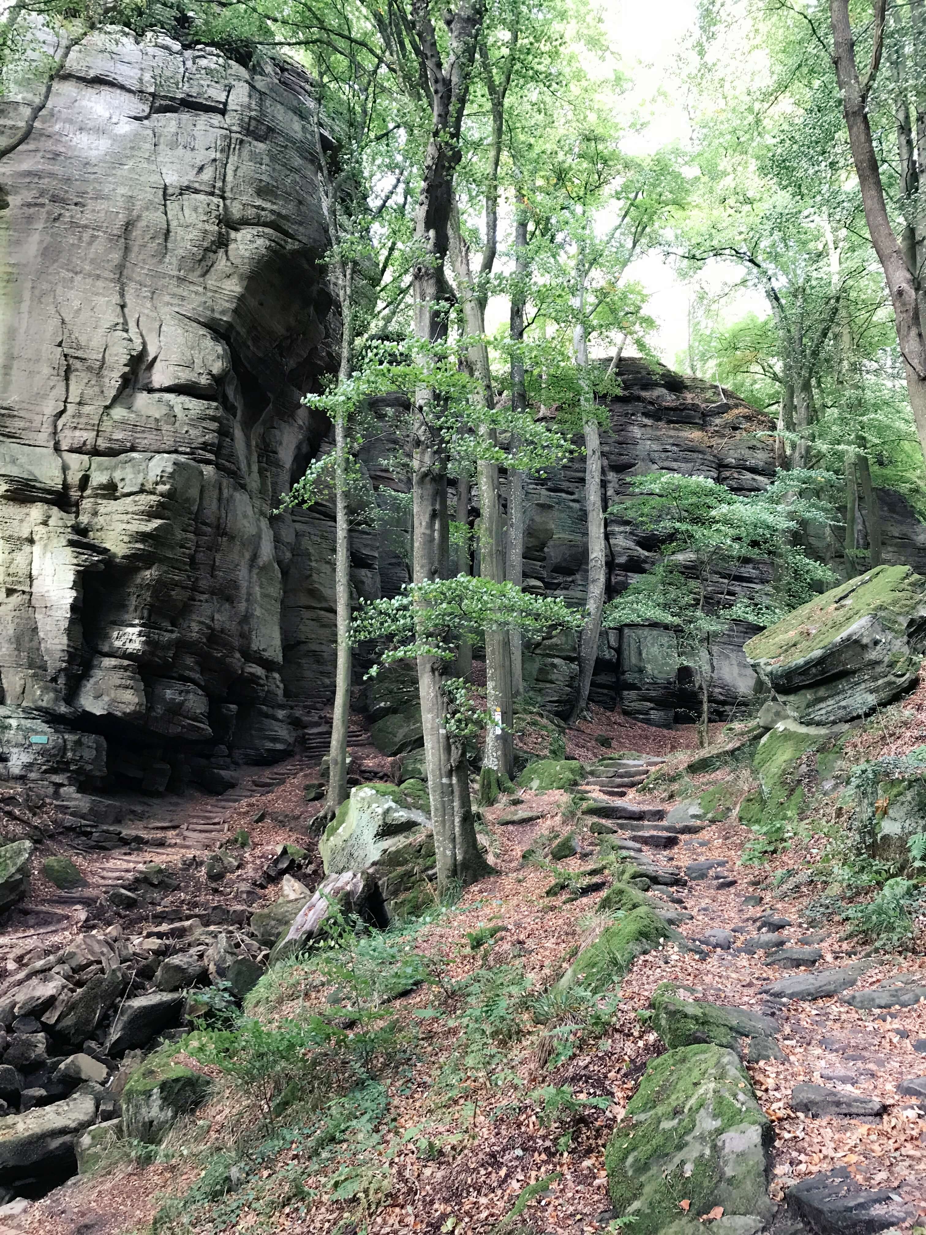 climbing, berdorf, echternach, luxembourgh