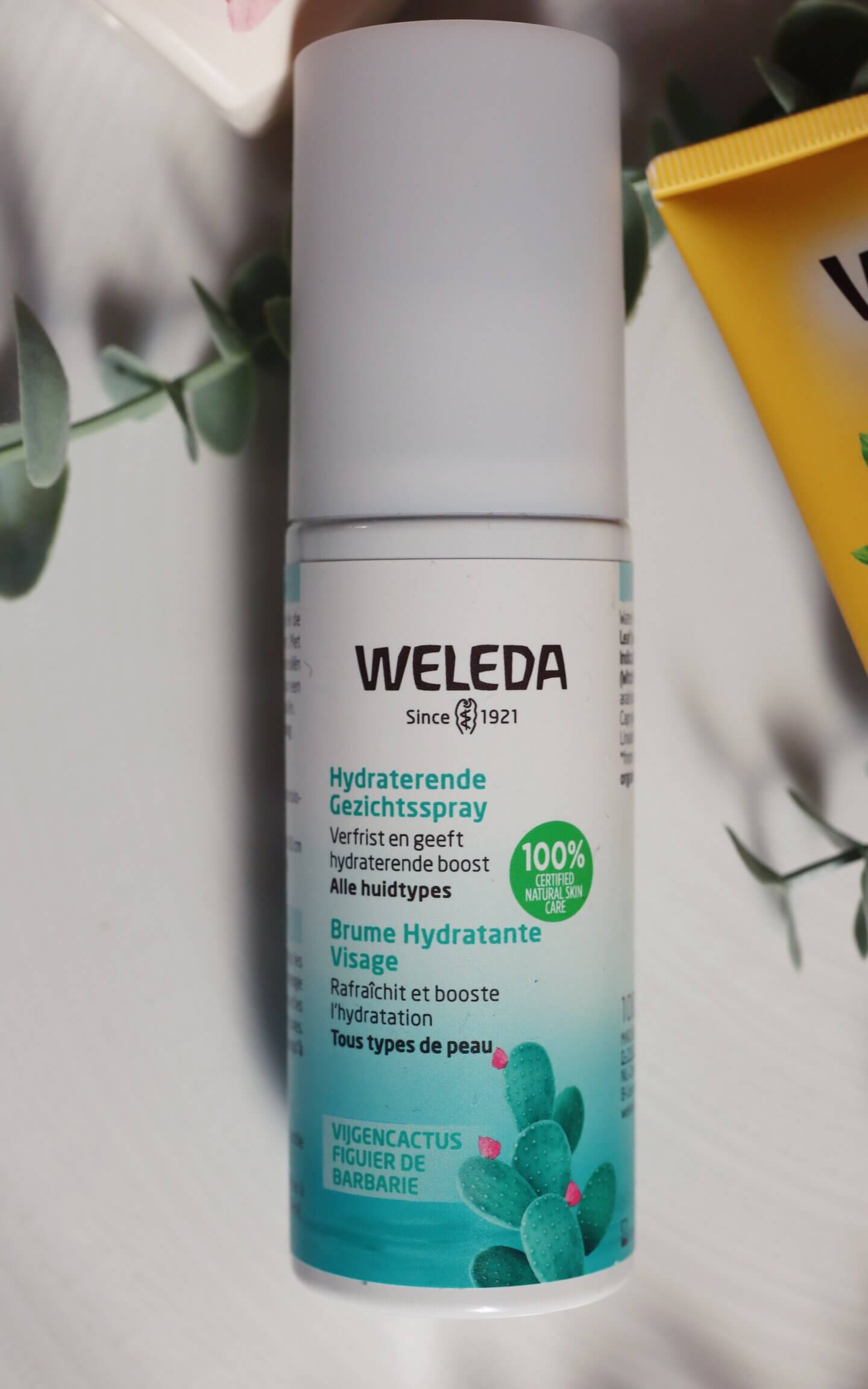 weleda sheer hydration face mist - actually anna